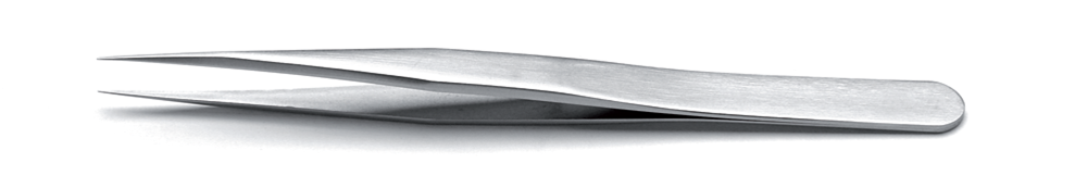 1.SA, 1.S, 1.NC, 1.TA