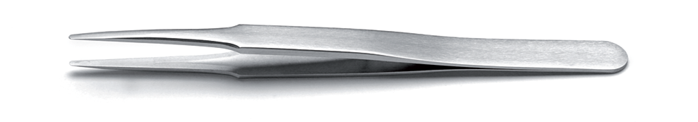 2A.SA, 2A.S 2A.NC, 2A.TA