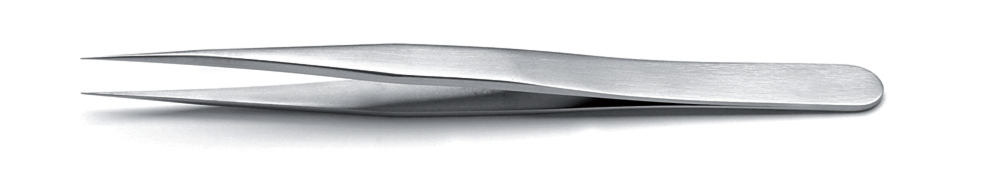 3.SA, 3.S, 3.NC, 3.TA