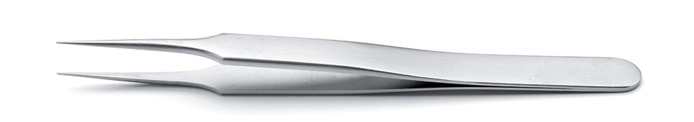 5.SA, 5.S, 5.NC, 5.TA