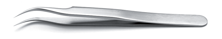 7.SA, 7.S, 7.NC, 7.TA