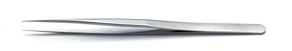 SS.SA, SS.S, SS.NC, SS.TA